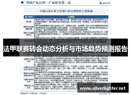 法甲联赛转会动态分析与市场趋势预测报告