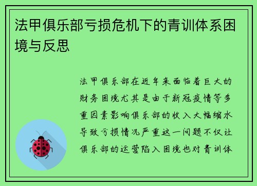 法甲俱乐部亏损危机下的青训体系困境与反思