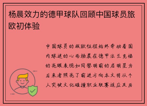 杨晨效力的德甲球队回顾中国球员旅欧初体验