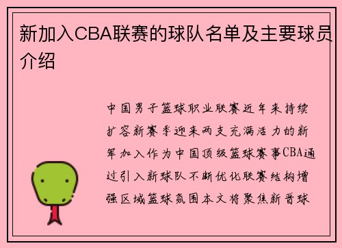 新加入CBA联赛的球队名单及主要球员介绍
