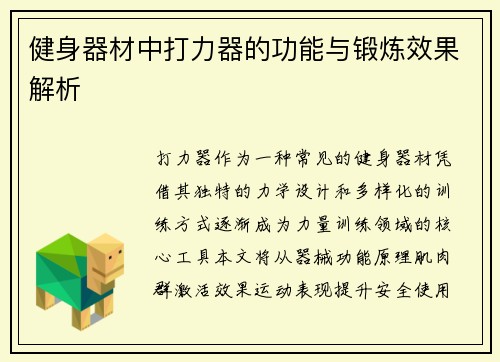 健身器材中打力器的功能与锻炼效果解析